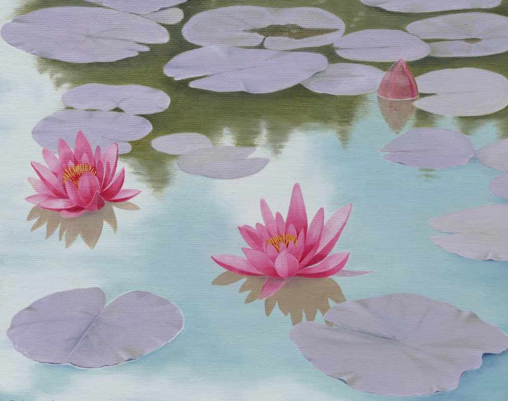 Dilys_Benjafield-water_lilly image Dilys_Benjafield-water_lilly
