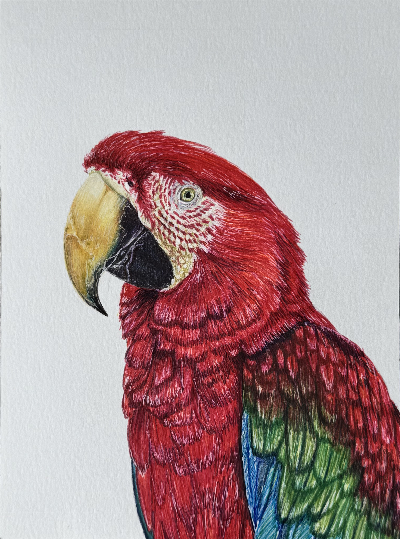 Lydia_C-1 image Lydia C 1