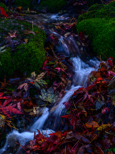 677d19a6a03ca-At_Littlebredy_cascade image 677d19a6a03ca At Littlebredy cascade