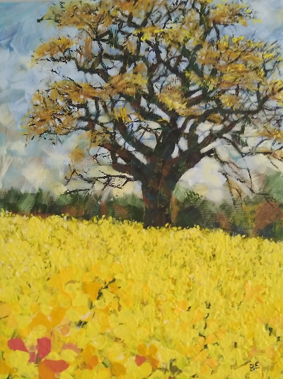 Barbar Emery Rapeseed