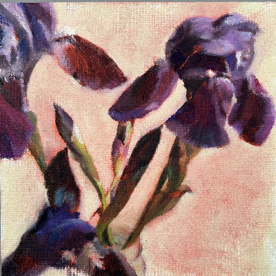Caroline Moore. Iris Study III. Oil on canvas panel. 20x20cms