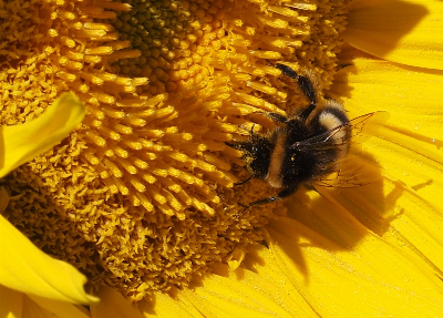 Susan%20H%20-2 image Susan H 2