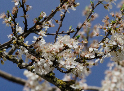 Susan_H_-3 image Susan H 3