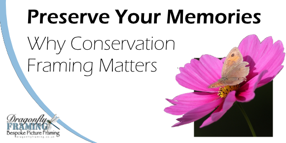 Why conservation Framing Matters