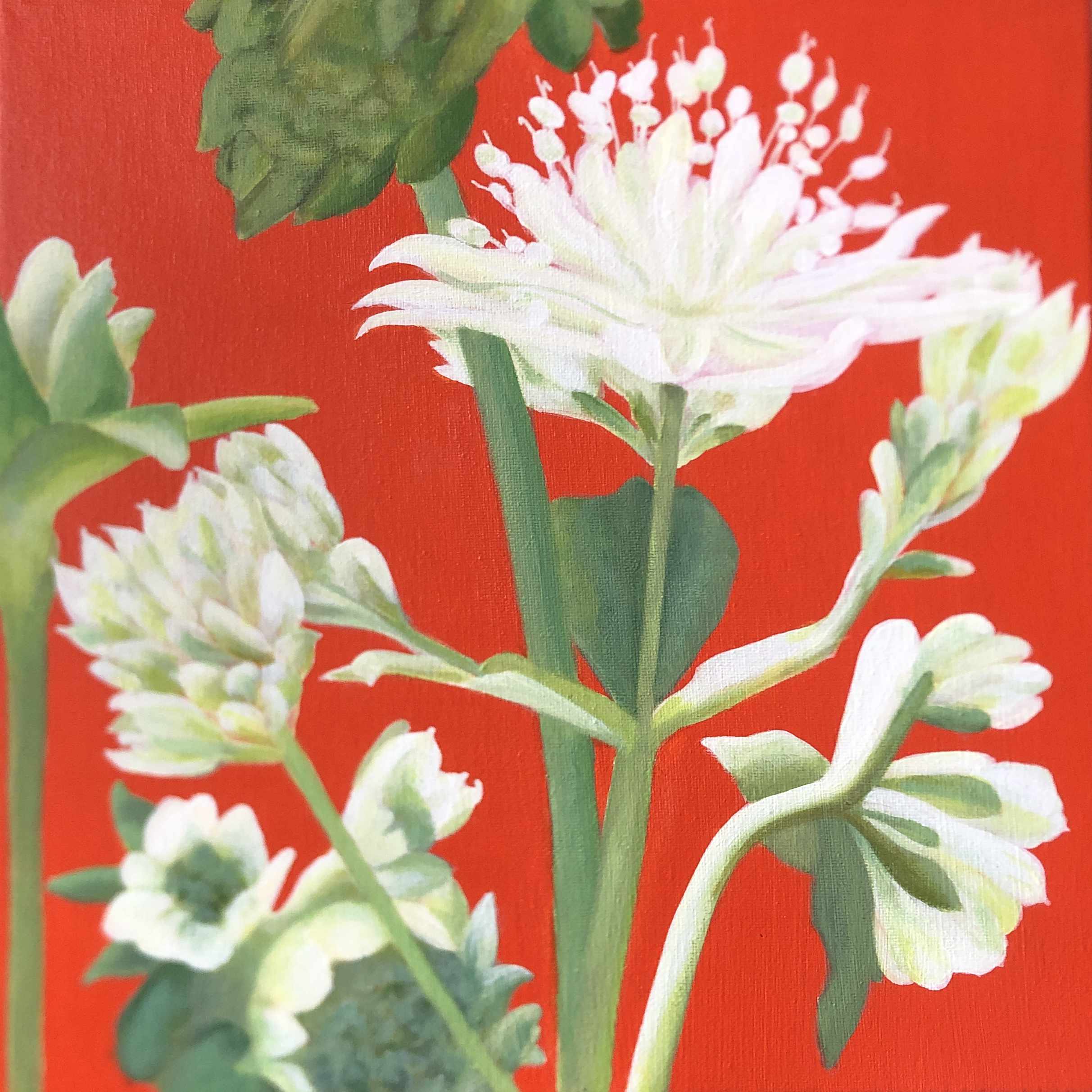 ruth_jakeman image Ruth Jakeman